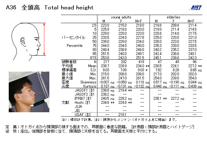 日本人の顔の大きさの平均